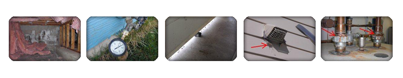 Mountain Home Inspection